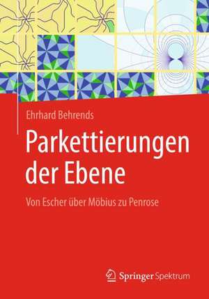 Parkettierungen der Ebene: Von Escher über Möbius zu Penrose de Ehrhard Behrends