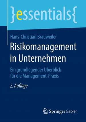 Risikomanagement in Unternehmen: Ein grundlegender Überblick für die Management-Praxis de Hans-Christian Brauweiler