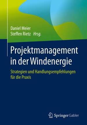 Projektmanagement in der Windenergie: Strategien und Handlungsempfehlungen für die Praxis de Daniel Meier