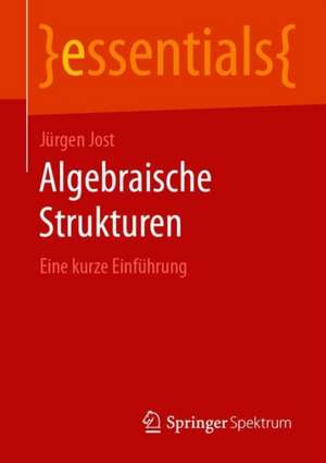 Algebraische Strukturen: Eine kurze Einführung de Jürgen Jost