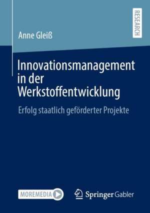 Innovationsmanagement in der Werkstoffentwicklung: Erfolg staatlich geförderter Projekte de Anne Gleiß