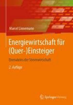 Energiewirtschaft für (Quer-)Einsteiger: Einmaleins der Stromwirtschaft de Marcel Linnemann