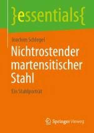 Nichtrostender martensitischer Stahl: Ein Stahlporträt de Joachim Schlegel