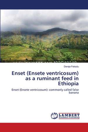 Enset (Ensete ventricosum) as a ruminant feed in Ethiopia de Dereje Fekadu