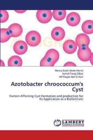 Azotobacter chroococcum's Cyst de Marwa Salah Abdel-Hamid