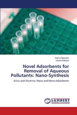 Novel Adsorbents for Removal of Aqueous Pollutants: Nano-Synthesis de Saima Nasreen