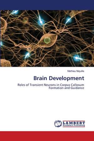 Brain Development de Mathieu Niquille