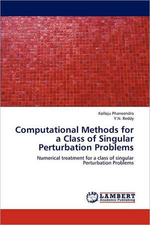 Computational Methods for a Class of Singular Perturbation Problems de Kolloju Phaneendra