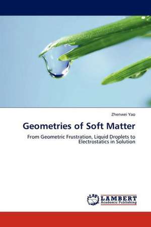 Geometries of Soft Matter de Yao Zhenwei