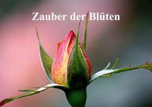 Zauber der Blüten (Posterbuch DIN A2 quer) de Bernd Witkowski