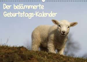 Der belämmerte Geburtstags-Kalender (Wandkalender immerwährend DIN A3 quer) de Antje Lindert-Rottke