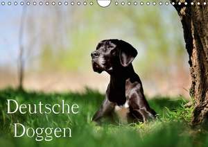 Deutsche Doggen / Geburtstagskalender (Wandkalender immerwährend DIN A4 quer) de Nicole Noack