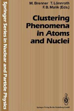 Clustering Phenomena in Atoms and Nuclei: International Conference on Nuclear and Atomic Clusters, 1991, European Physical Society Topical Conference, Åbo Akademi, Turku, Finland, June 3–7, 1991 de Marten Brenner