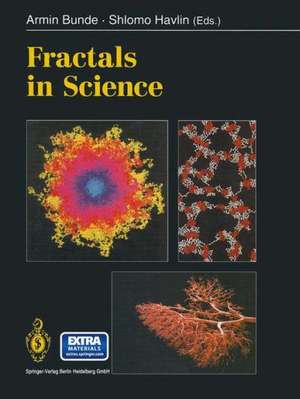 Fractals in Science de Armin Bunde