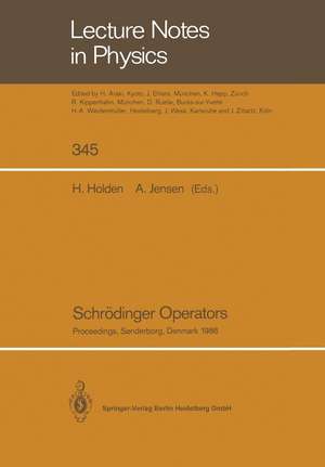 Schrödinger Operators: Proceedings of the Nordic Summer School in Mathematics Held at Sandbjerg Slot, Sønderborg, Denmark, August 1–12, 1988 de Helge Holden