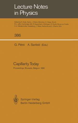 Capillarity Today: Proceedings of an Advanced Workshop on Capillarity Held In Memoriam Raymond Defay at Brussels, Belgium, 7–10 May 1990 de G. Petre