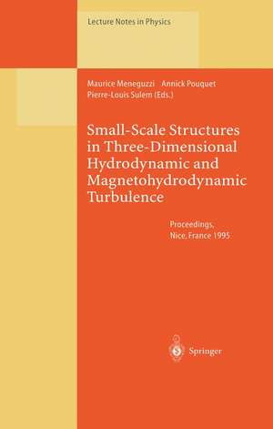 Small-Scale Structures in Three-Dimensional Hydrodynamic and Magnetohydrodynamic Turbulence: Proceedings of a Workshop Held at Nice, France, 10–13 January 1995 de Maurice Meneguzzi