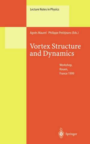 Vortex Structure and Dynamics: Lectures of a Workshop Held in Rouen, France, April 27–28, 1999 de Agnes Maurel