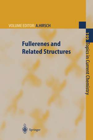 Fullerenes and Related Structures de Andreas Hirsch