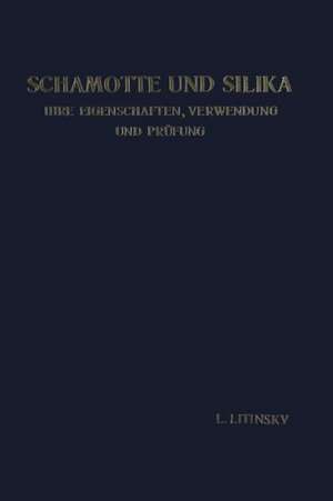 Schamotte und Silika: Ihre Eigenschaften, Verwendung und Prüfung de Leonid Litinsky