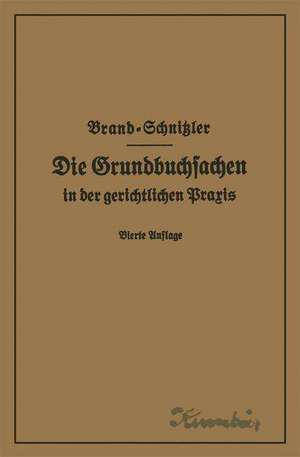 Die Grundbuchsachen in der gerichtlichen Praxis einschließlich Aufwertung der Grundstückspfandrechte de Arthur Brand