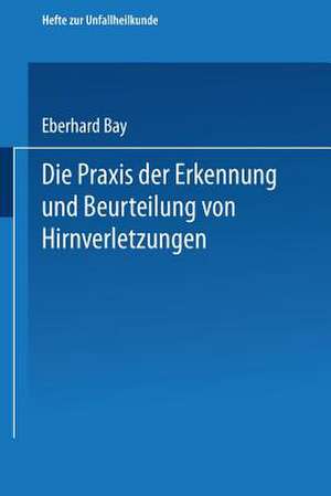 Die Praxis der Erkennung und Beurteilung von Hirnverletzungen de Eberhard Bay