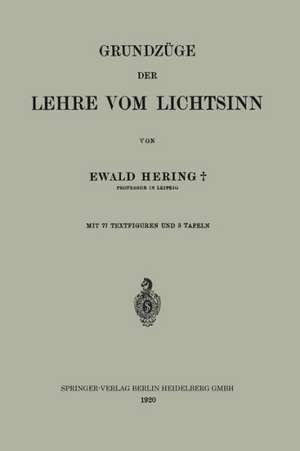 Grundzüge der Lehre vom Lichtsinn de Ewald Hering