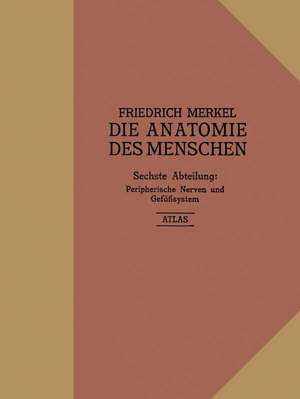 Atlas zu Peripherische Nerven und Gefäßsystem de Friedrich Merkel