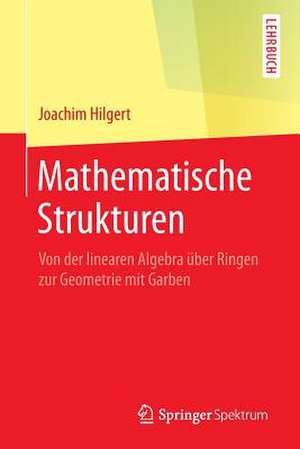 Mathematische Strukturen: Von der linearen Algebra über Ringen zur Geometrie mit Garben de Joachim Hilgert