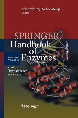 Class 2 Transferases: EC 2.1-2.7.10 de Antje Chang