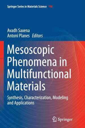 Mesoscopic Phenomena in Multifunctional Materials: Synthesis, Characterization, Modeling and Applications de Avadh Saxena