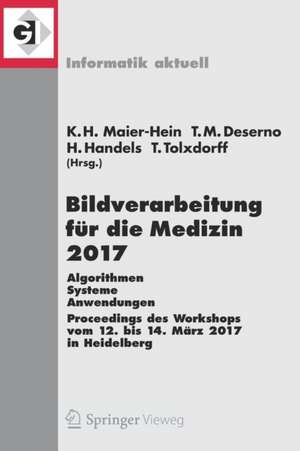 Bildverarbeitung für die Medizin 2017: Algorithmen - Systeme - Anwendungen. Proceedings des Workshops vom 12. bis 14. März 2017 in Heidelberg de Klaus Hermann Maier-Hein, geb. Fritzsche