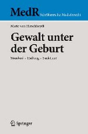 Gewalt unter der Geburt: Standard - Haftung - Sanktion? de Marie von Hirschheydt