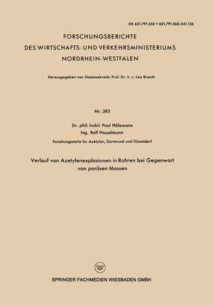 Verlauf von Azetylenexplosionen in Rohren bei Gegenwart von porösen Massen de Paul Hölemann