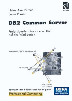 DB2 Common Server: Professioneller Einsatz von DB2 auf der Workstation de Heinz-Axel Pürner