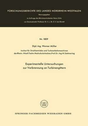 Experimentelle Untersuchungen zur Verbrennung an Turbinengittern de Werner Müller