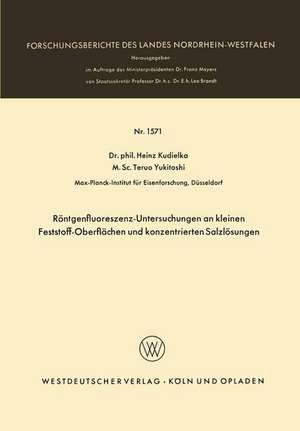 Röntgenfluoreszenz-Untersuchungen an kleinen Feststoff-Oberflächen und konzentrierten Salzlösungen de Heinz Kudielka