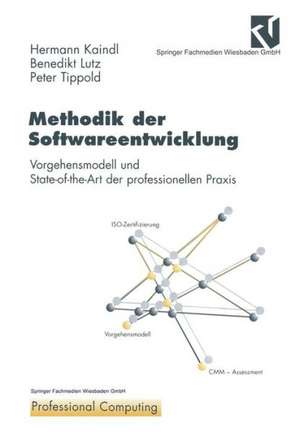 Methodik der Softwareentwicklung: Vorgehensmodell und State-of-the-Art der professionellen Praxis de Hermann Kaindl