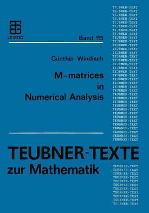 M-matrices in Numerical Analysis de Günther Windisch