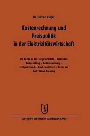 Kostenrechnung und Preispolitik in der Elektrizitätswirtschaft de Günter Veigel