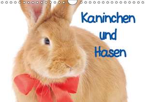 Kaninchen und Hasen (Wandkalender immerwährend DIN A4 quer) de Elisabeth Stanzer