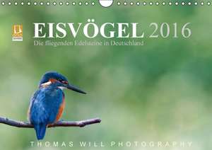 Eisvögel - Die fliegenden Edelsteine in Deutschland / 2016 (Wandkalender 2016 DIN A4 quer) de Thomas Will