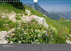 Tannheimer Tal (Wandkalender 2016 DIN A4 quer) de Bernd Schmidt