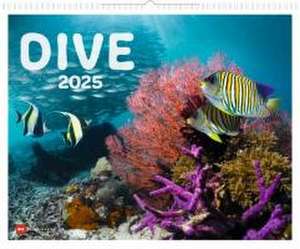 Dive 2025