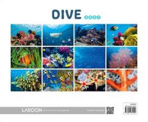 Dive 2027