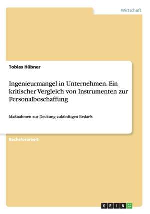 Ingenieurmangel in Unternehmen. Ein kritischer Vergleich von Instrumenten zur Personalbeschaffung de Tobias Hübner