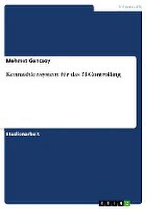 Kennzahlensystem für das IT-Controlling de Mehmet Gencsoy