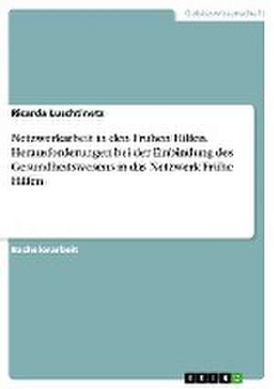 Netzwerkarbeit in den Frühen Hilfen. Herausforderungen bei der Einbindung des Gesundheitswesens in das Netzwerk Frühe Hilfen de Ricarda Luschtinetz