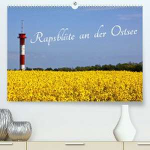 Rapsblüte an der Ostsee (Premium, hochwertiger DIN A2 Wandkalender 2023, Kunstdruck in Hochglanz) de Ro BRA - Rolf Braun Ostseefotograf