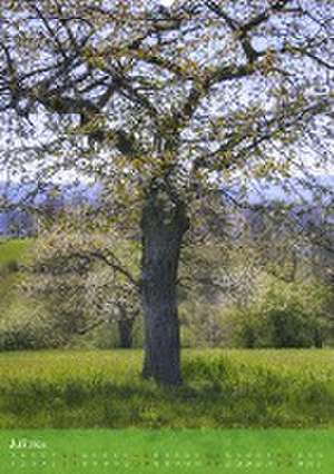 Klimaretter Baum (Wandkalender 2024 DIN A2 hoch), CALVENDO Monatskalender de Christine Wirges